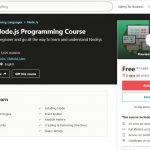 Advanced Node.js Programming Course