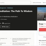 Mindfulness Meditation The Path To Wisdom & Success